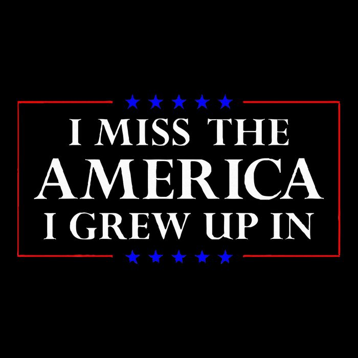 I Miss The America I Grew Up In American Flag 16oz Travel Tumbler