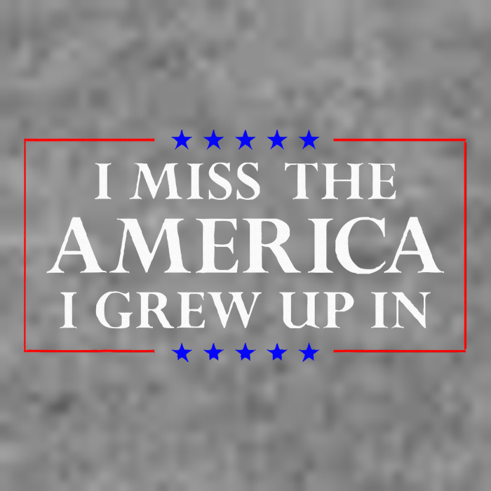 I Miss The America I Grew Up In American Flag Sustainable Beanie