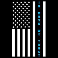 In Musk We Trust USA United States Flag Elon Funny Wool Snapback Cap