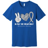 In May We Wear Gray Brain Cancer Awareness Month Meaningful Gift Premium T-Shirt