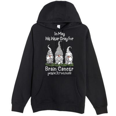 In May We Wear Gray For Brain Cancer Awareness Great Gift Premium Pullover Hoodie