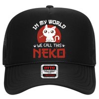 In My World We Call This Neko Hat