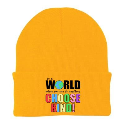 In a World Where You Can Be Anything Choose Kind Knit Cap Winter Beanie