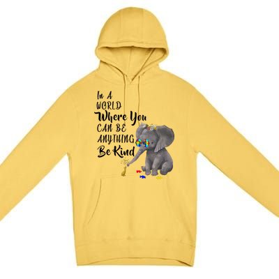 In A World Where You Can Be Kind Premium Pullover Hoodie