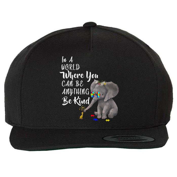 In A World Where You Can Be Kind Wool Snapback Cap