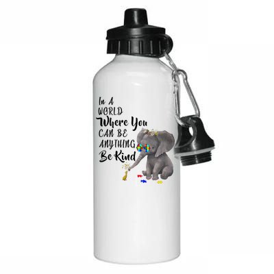 In A World Where You Can Be Kind Aluminum Water Bottle