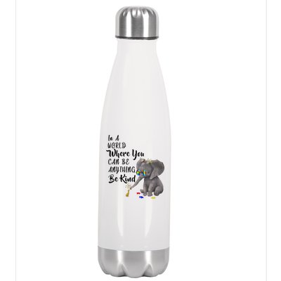 In A World Where You Can Be Kind Stainless Steel Insulated Water Bottle