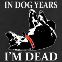 In Dog Years I'm Dead Funny Birthday Adult Drive Performance Visor