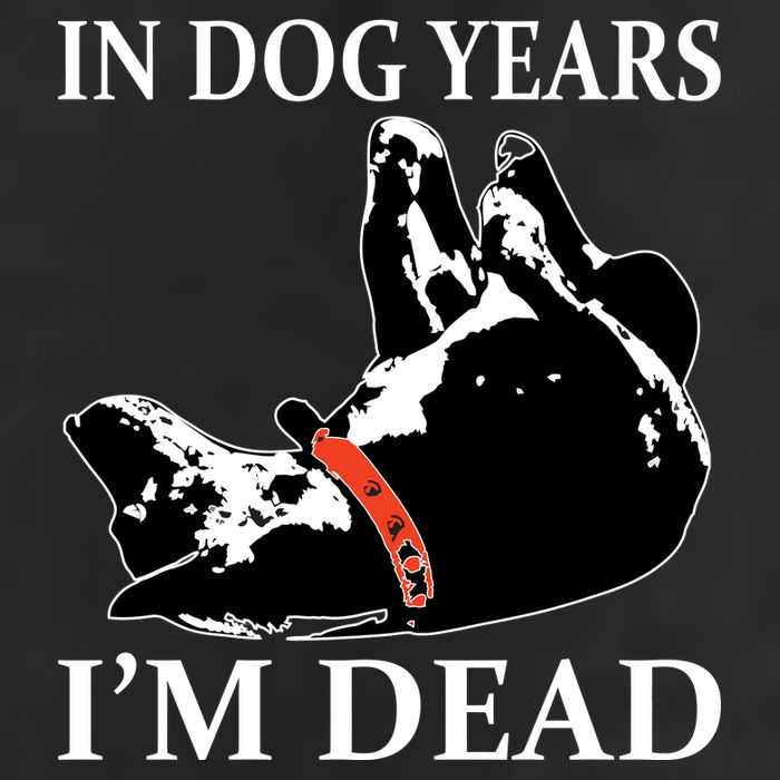 In Dog Years I'm Dead Funny Birthday Adult Drive Performance Visor