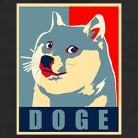 In Dogecoin We Trust Doge Crypto Garment-Dyed Heavyweight T-Shirt