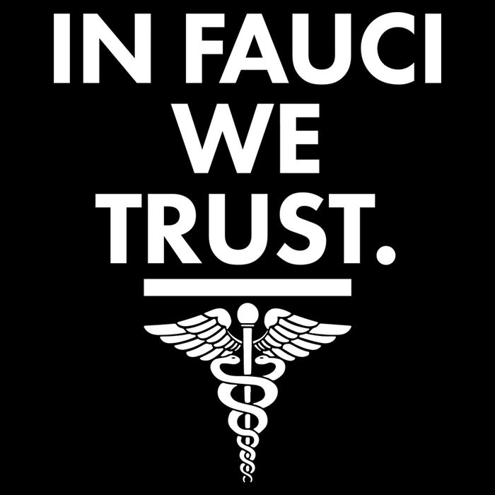 In Dr Fauci We Trust Button