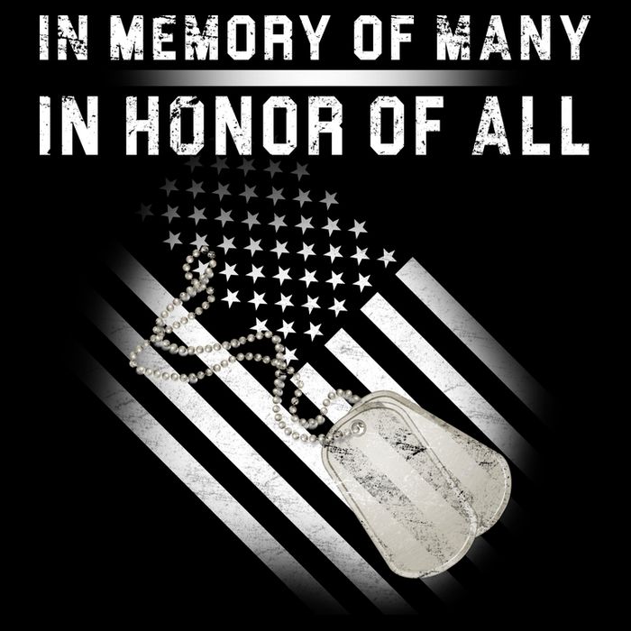 In Memory Of Many In Honor Of All Women's V-Neck T-Shirt