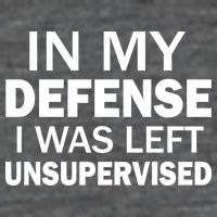 In My Defense I Was Left Unsupervised Kids T-Shirt