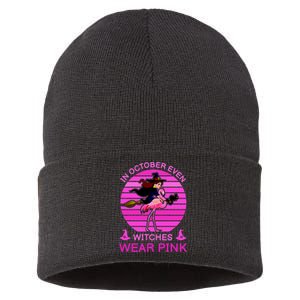 In October Even Witches Wear Pink Sustainable Knit Beanie