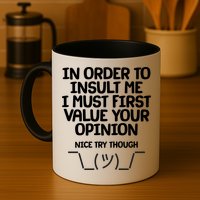 In Order To Insult Me I Must First Value Your Opinion Nice Try Though Mug