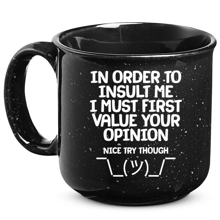 In Order To Insult Me I Must First Value Your Opinion Nice Try Though 15oz Campfire Ceramic Mug
