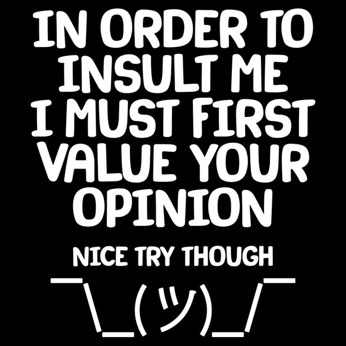 In Order To Insult Me I Must First Value Your Opinion Nice Try Though Cropped Pullover Crew