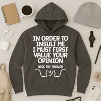 In Order To Insult Me I Must First Value Your Opinion Nice Try Though Hoodie