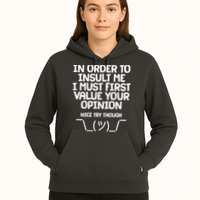 In Order To Insult Me I Must First Value Your Opinion Nice Try Though Hoodie