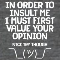 In Order To Insult Me I Must First Value Your Opinion Nice Try Though Poster