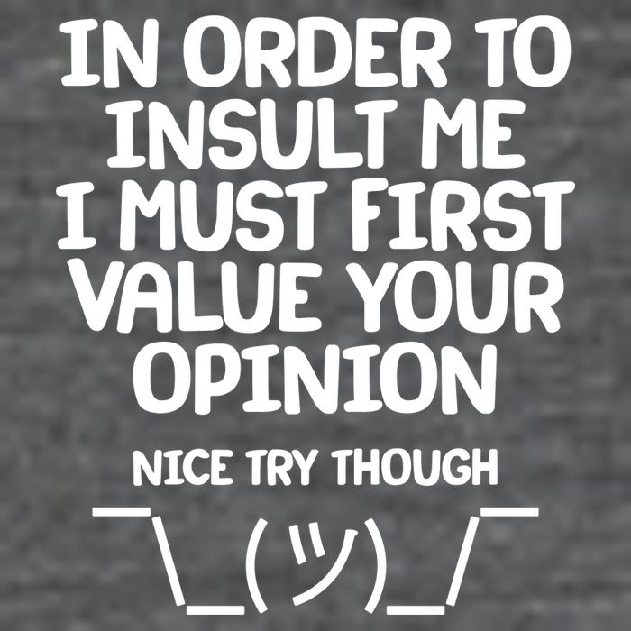 In Order To Insult Me I Must First Value Your Opinion Nice Try Though Poster