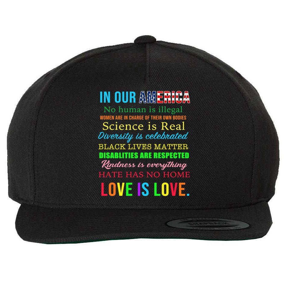 In Our America We Are Equal Wool Snapback Cap