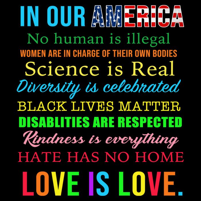 In Our America We Are Equal Wool Snapback Cap