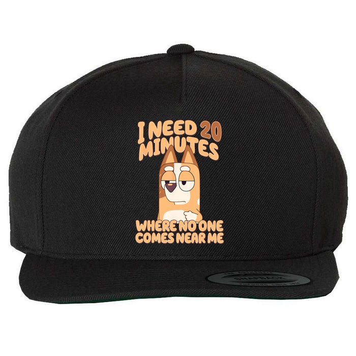 I Need 20 Minutes Where No One Comes Near Me Wool Snapback Cap