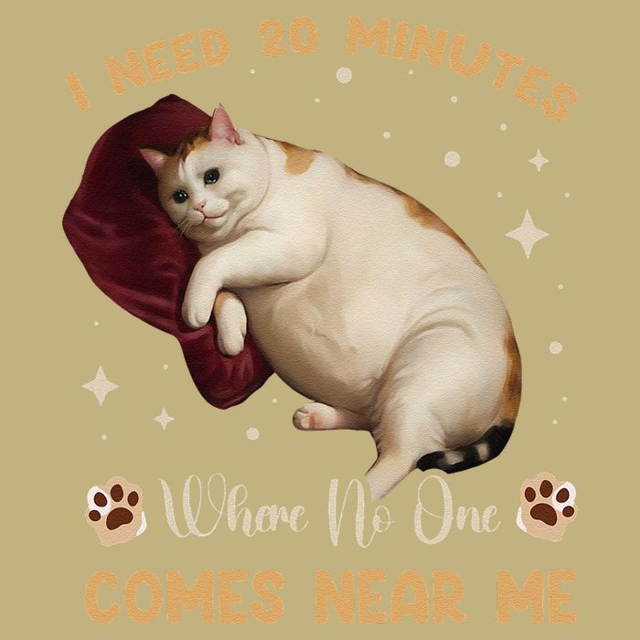 I Need 20 Minutes Where No One Comes Near Me Cute Cat T-Shirt