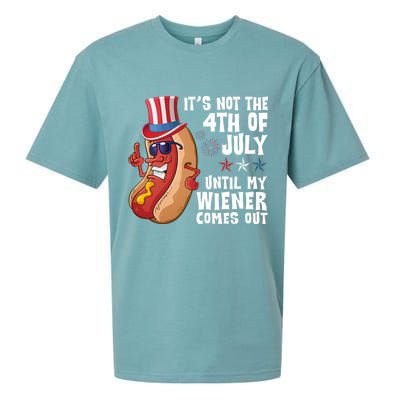 Its Not 4th Of July Funny Hotdog Summer Holiday Sueded Cloud Jersey T-Shirt