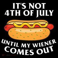 Its Not 4th Of July Until My Wiener Comes Out Funny Holiday Stripe Pom Pom Beanie