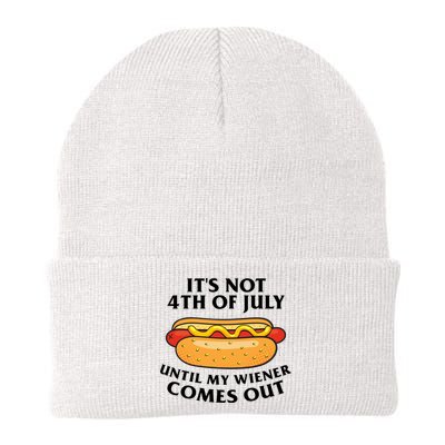 Its Not 4th Of July Until My Wiener Comes Out Funny Holiday Beanie