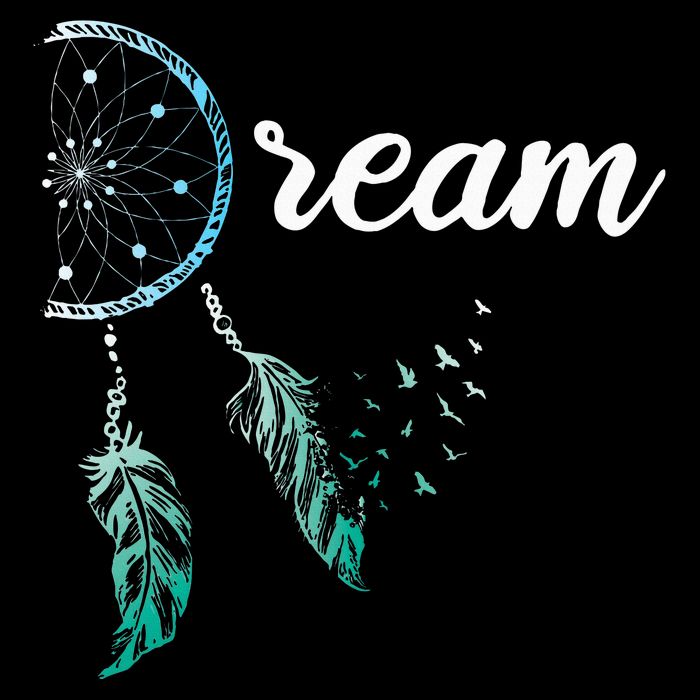 Indian Native American Dreamcatcher Boho Chic Dream Catcher T-Shirt