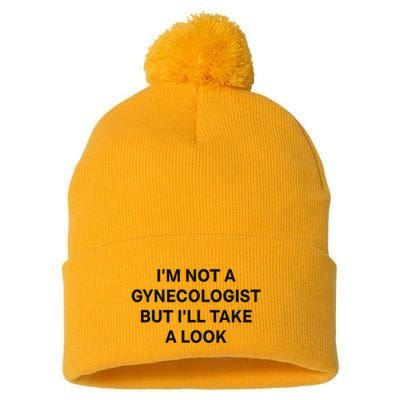 IM Not A Gynecologist But ILl Take A Look Funny Saying Pom Pom 12in Knit Beanie