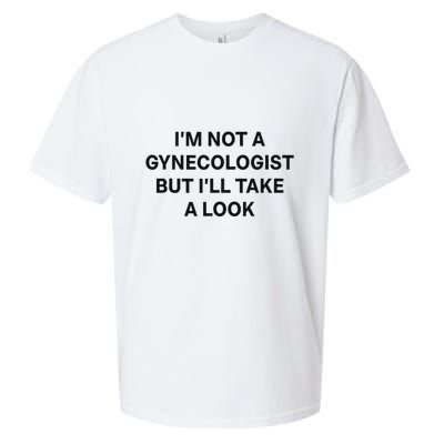 IM Not A Gynecologist But ILl Take A Look Funny Saying Sueded Cloud Jersey T-Shirt