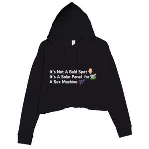 ItS Not A Bald Spot ItS A Solar Panel A Sex Machine Crop Fleece Hoodie