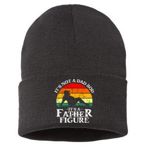 Its Not A Dad Bod Its A Father Figure Funny Sexy Sustainable Knit Beanie