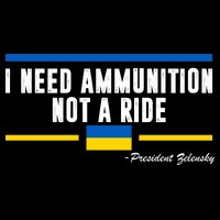 I Need Ammunition Not A Ride Ukraine Pom Pom 12in Knit Beanie
