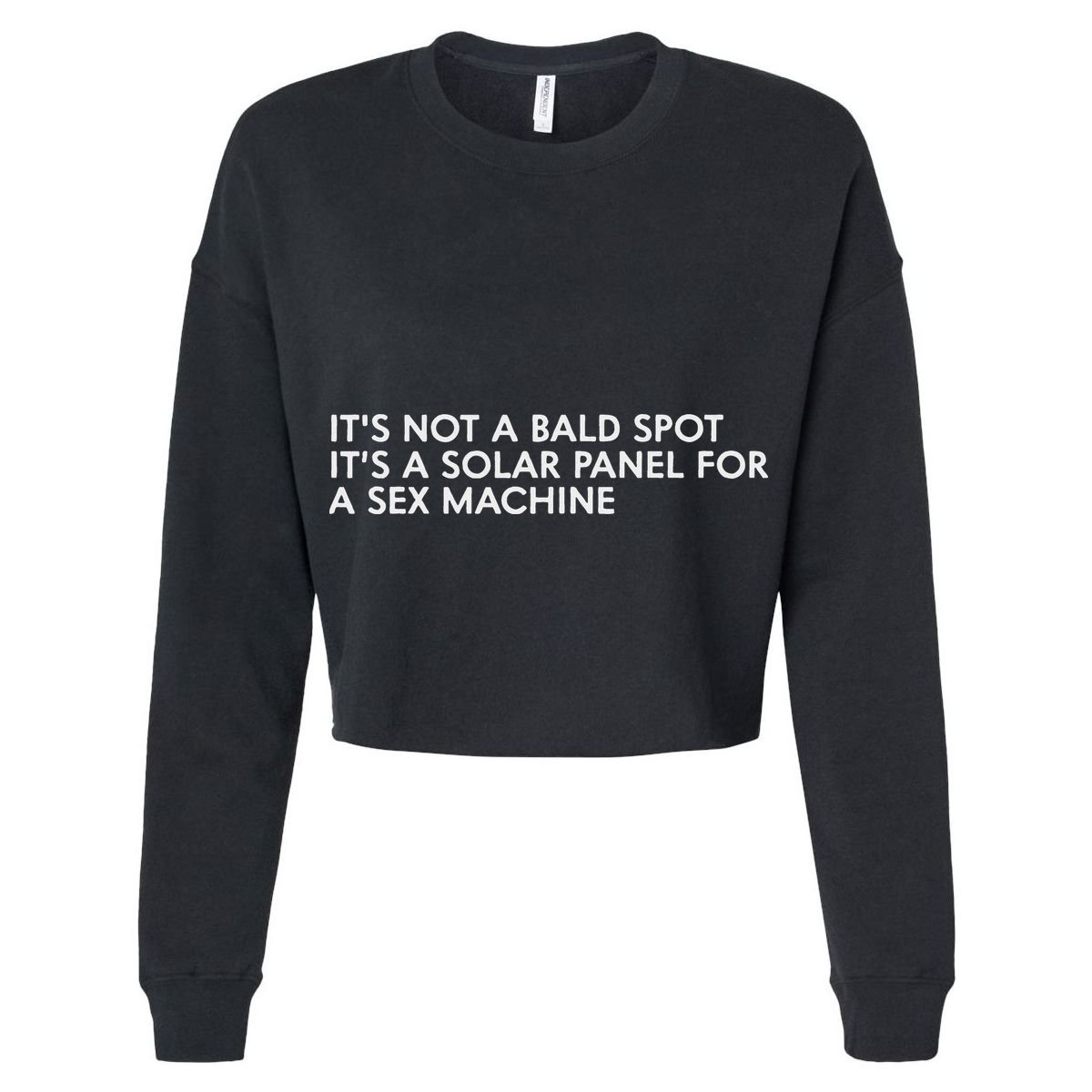 ItS Not A Bald Spot ItS A Solar Panel A Sex Machine Women's Crop Top Tee