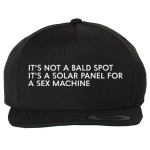 ItS Not A Bald Spot ItS A Solar Panel A Sex Machine Wool Snapback Cap