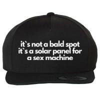 It Is Not A Bald Spot, It Is A Solar Panel For A Sex Machine Offensive Adult Humor Wool Snapback Cap