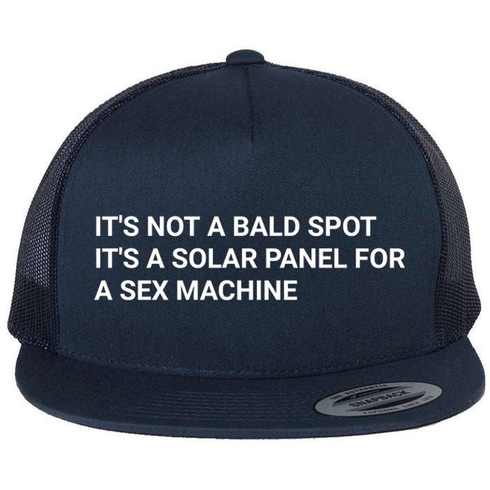 Its Not A Bald Spot Its A Solar Panel For A Sex Machine Flat Bill Trucker Hat