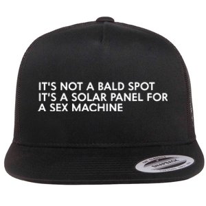 ItS Not A Bald Spot ItS A Solar Panel A Sex Machine Flat Bill Trucker Hat