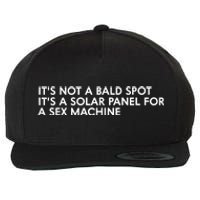 ItS Not A Bald Spot ItS A Solar Panel A Sex Machine Wool Snapback Cap