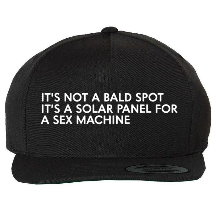 ItS Not A Bald Spot ItS A Solar Panel A Sex Machine Wool Snapback Cap