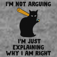 IM Not Arguing IM Just Explaining Why I Am Right 7-Panel Snapback Hat