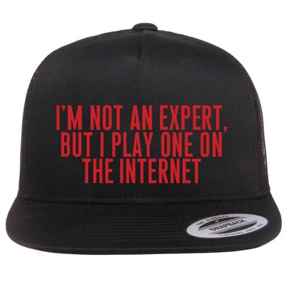 IM Not An Expert But I Play One On The Internet Flat Bill Trucker Hat