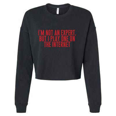 IM Not An Expert But I Play One On The Internet Cropped Pullover Crew