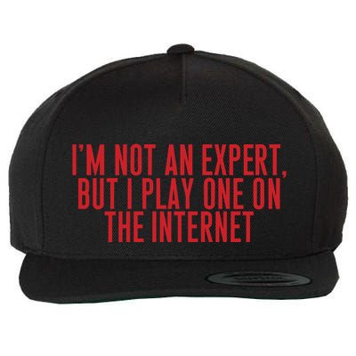 IM Not An Expert But I Play One On The Internet Wool Snapback Cap