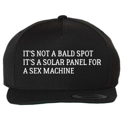 Its Not A Bald Spot Its A Solar Panel For A Sex Machine Wool Snapback Cap